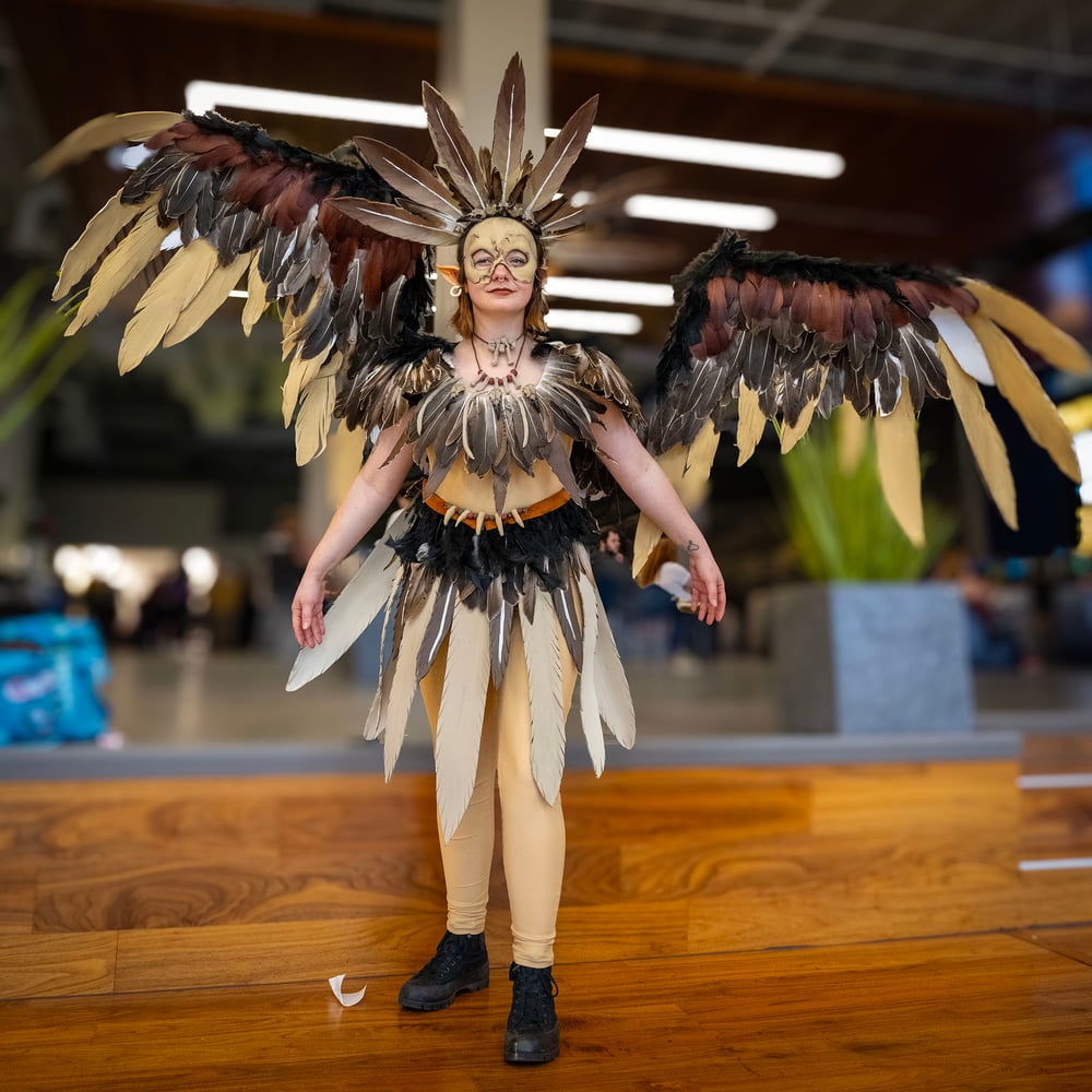 An ETSU student dressed in an elaborate bird costume