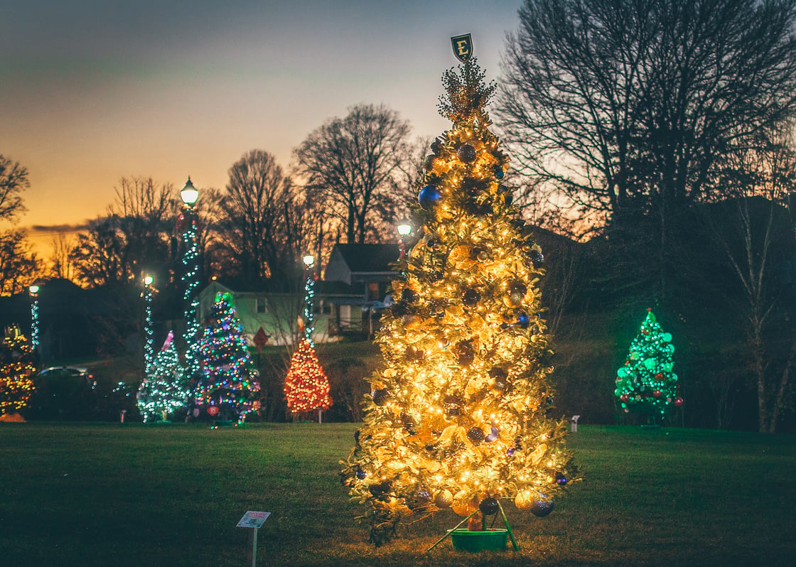 A Christmas tree bathed in gold lights and decorated with blue and gold ornaments. The top of the tree features the ETSU Shield E logo. 