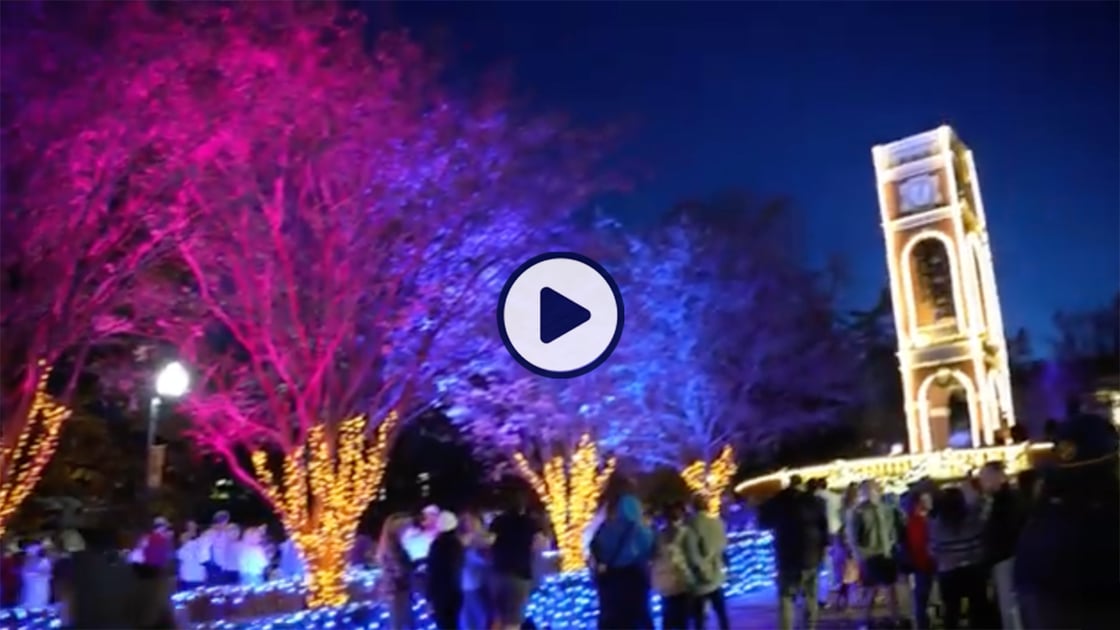 The ETSU carillon and trees in front of it, lit in holiday lights. 